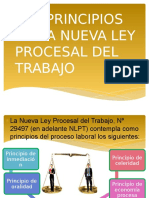 Nueva Ley Procesal  - principios KARINA