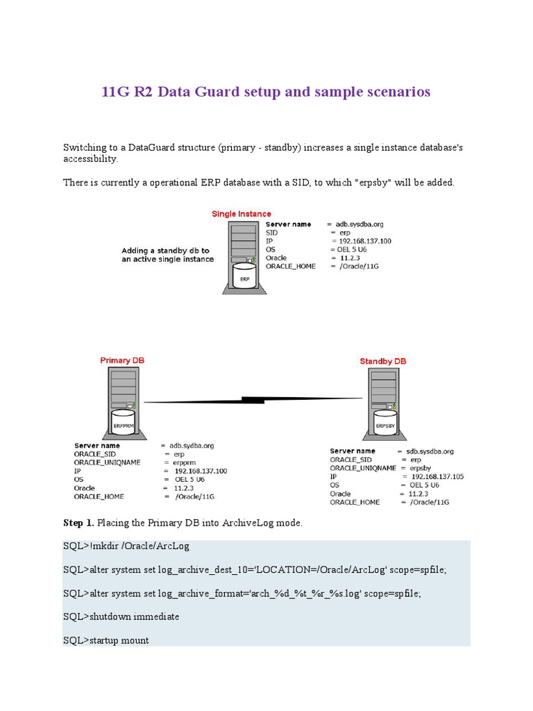 11G R2 Data Guard Setup and Sample Scenarios PDF | PDF