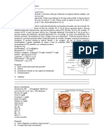 Exercício Enteral