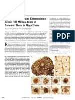 Bomfleur Et Al 2014 Fossilized Nuclei and Chromosomes 180 Ma Genomic in Royal Ferns Con Supl