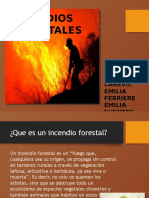 Incendios forestales