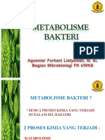 Metabolisme Bakteri