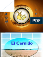 el cernido.pdf