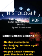 Histo (Pert.2)