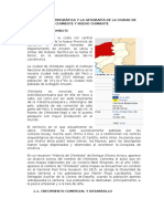 INFORME ELECTIVO