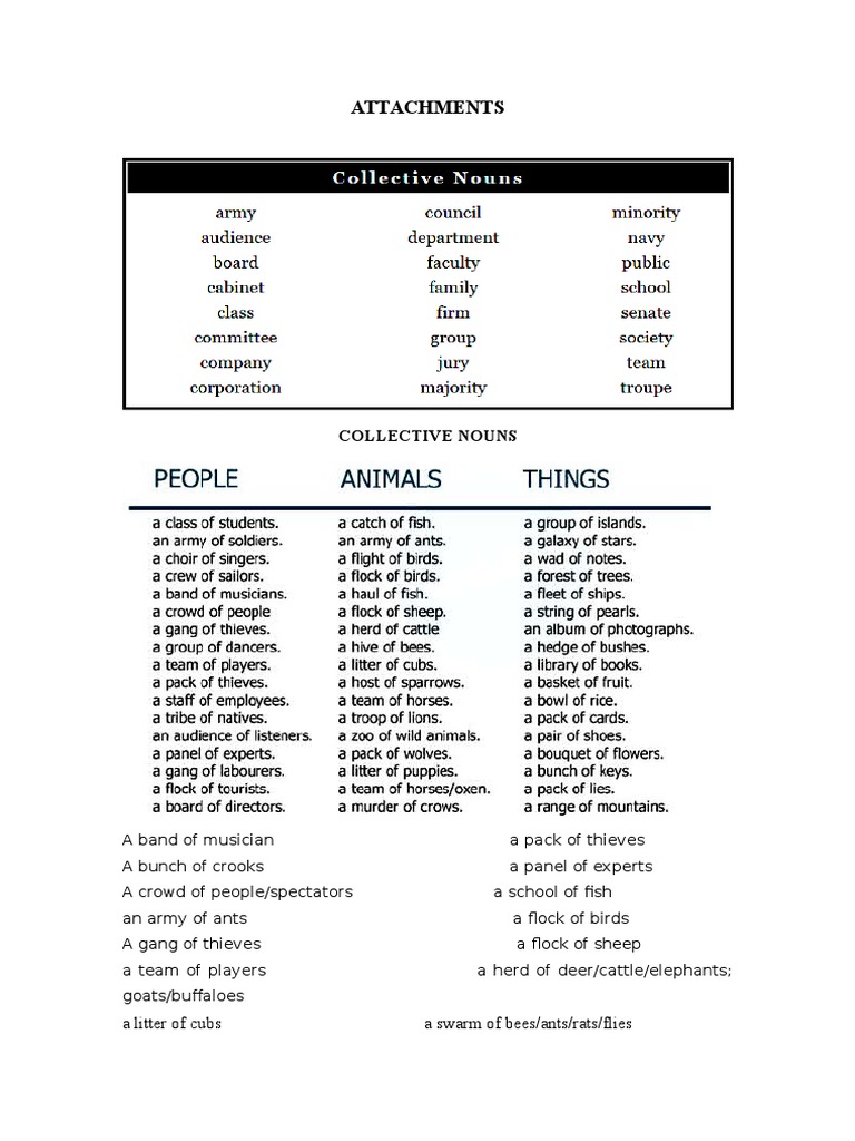 Attachments Collective Nouns PDF
