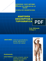 1 Anatomia Descriptiva y Topografica