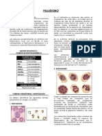 Plasmodium SPP