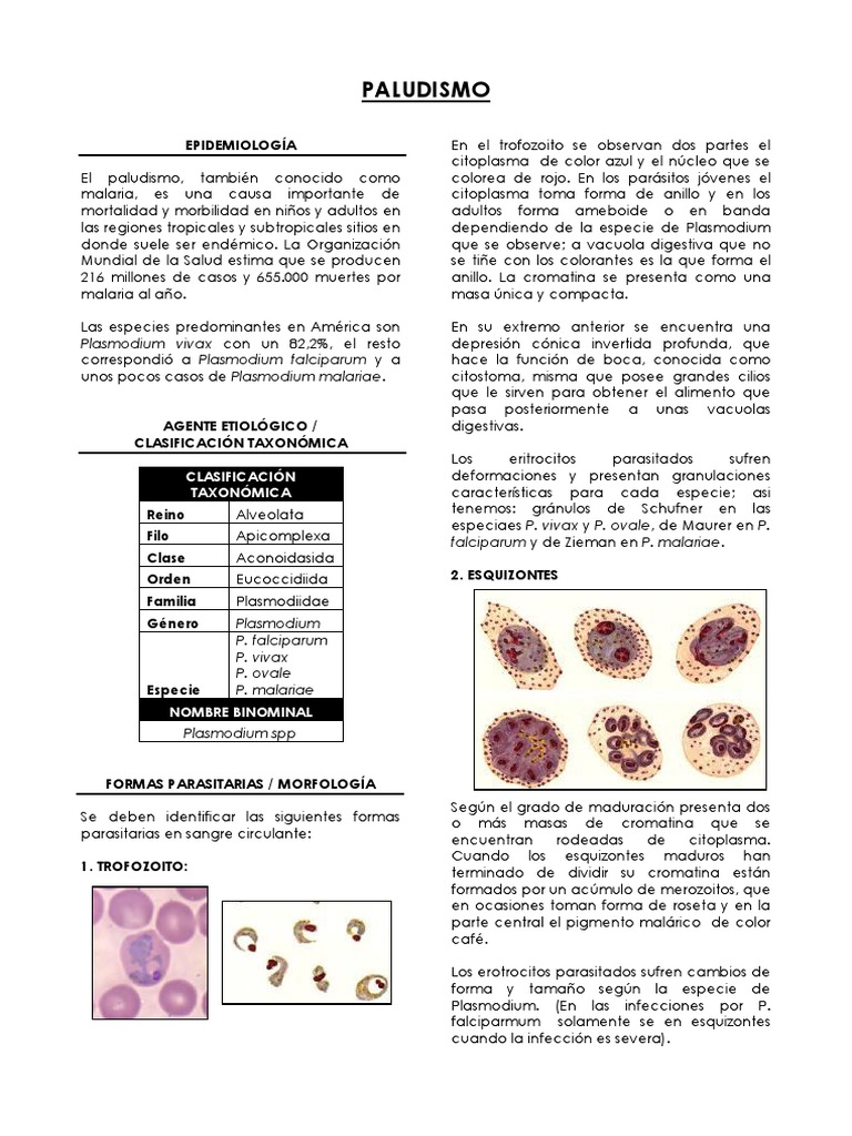 plasmodium-spp
