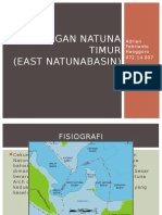 Cekungan Natuna Timur