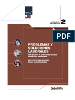 Problemas y Solucion Laboral PDF