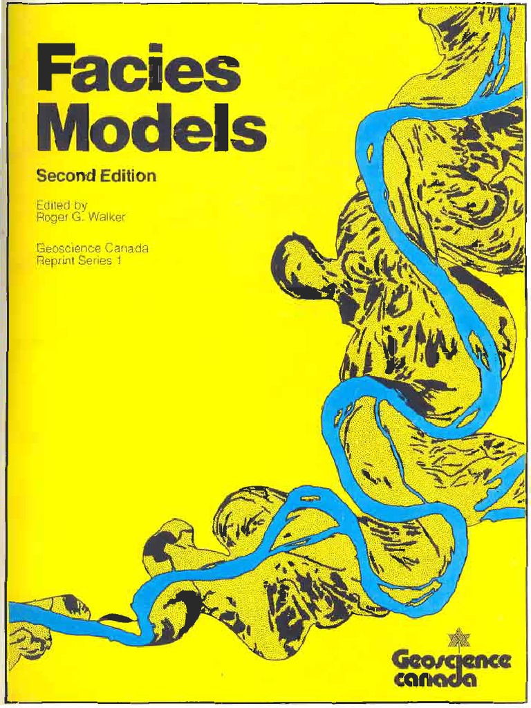 Facies Models | PDF