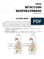 Músculos Respiratórios e Pressões Pulmonares na Ventilação