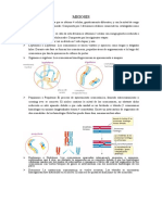 MEIOSIS: División celular que reduce la carga genética y genera variabilidad