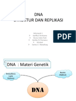 STRUKTUR DAN REPLIKASI DNA