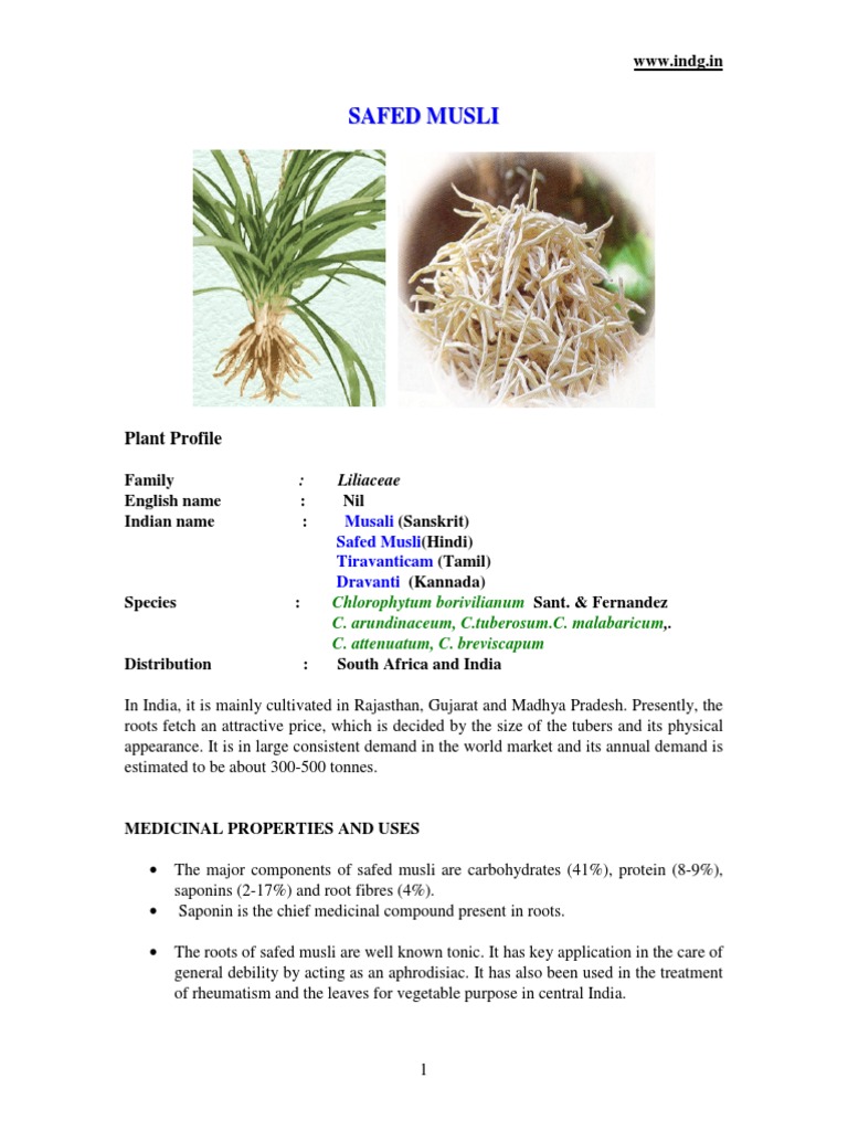 Cultivation of Safed Musli: A Comprehensive Guide to Growing this ...