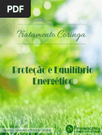 Proteção-e-Equilibrio-Energético-Tratamento-Coringa.pdf