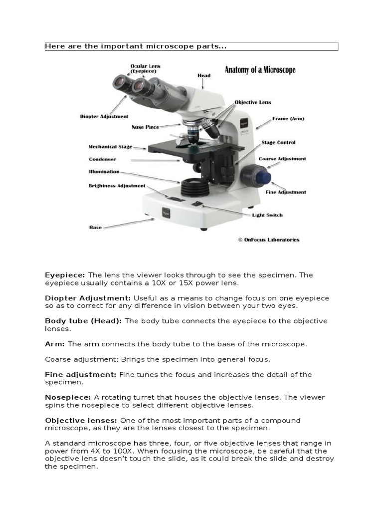 Science Biology | Cell (Biology) | Chloroplast | Free 30-day Trial | Scribd