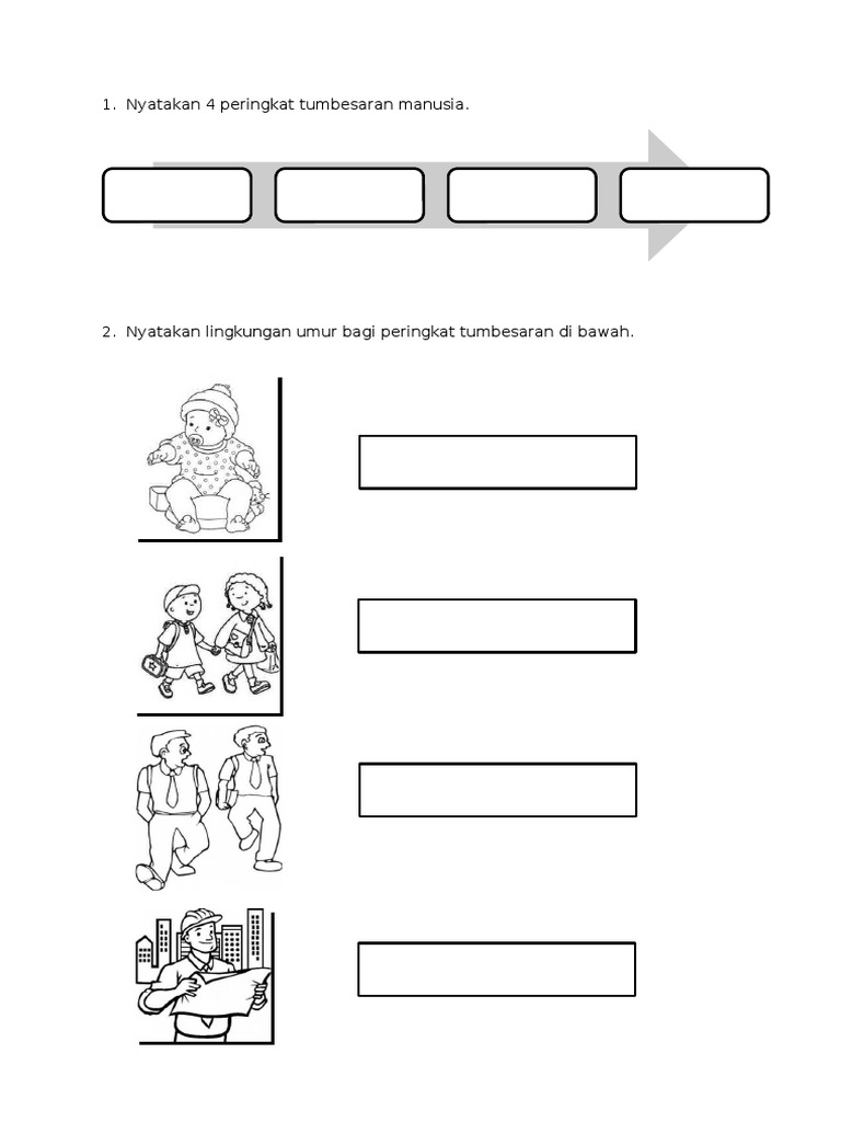 Sas N6 Pdf