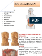 brg.VI.04.Estomago.pdf