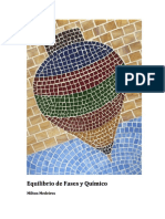 Equilibrio de Fases y Químico PDF