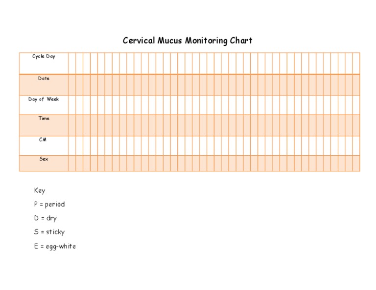Cervical Mucus Tracking Chart | PDF
