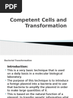 Competent Cells and Transformation