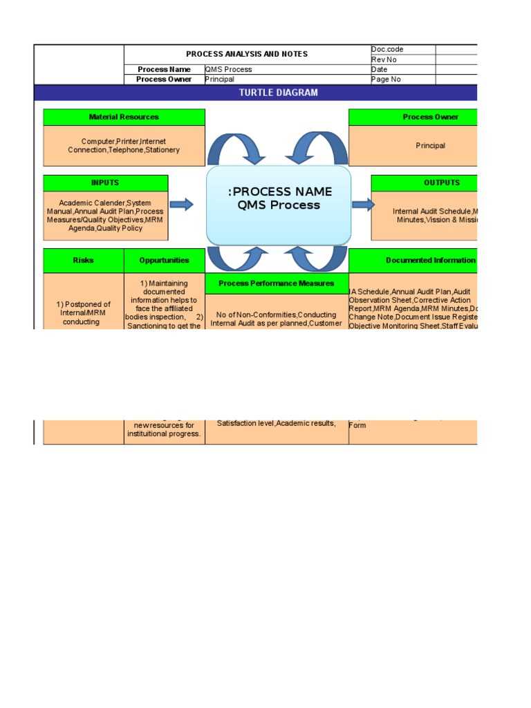Turtle QMS Process | Internal Audit | Audit