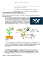 Fiche Vivant Ecosysteme