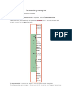 Fecundación y Concepción