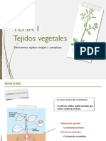 Presentacion Tema 1. Tejidos Vegetales