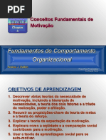 Conceitos Basicos de Motivacao - Livro