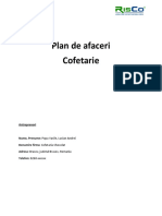 Plan-de-afaceri-Demo-RisCo (1).pdf