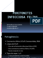 Peritonitis Infecciosa Felina