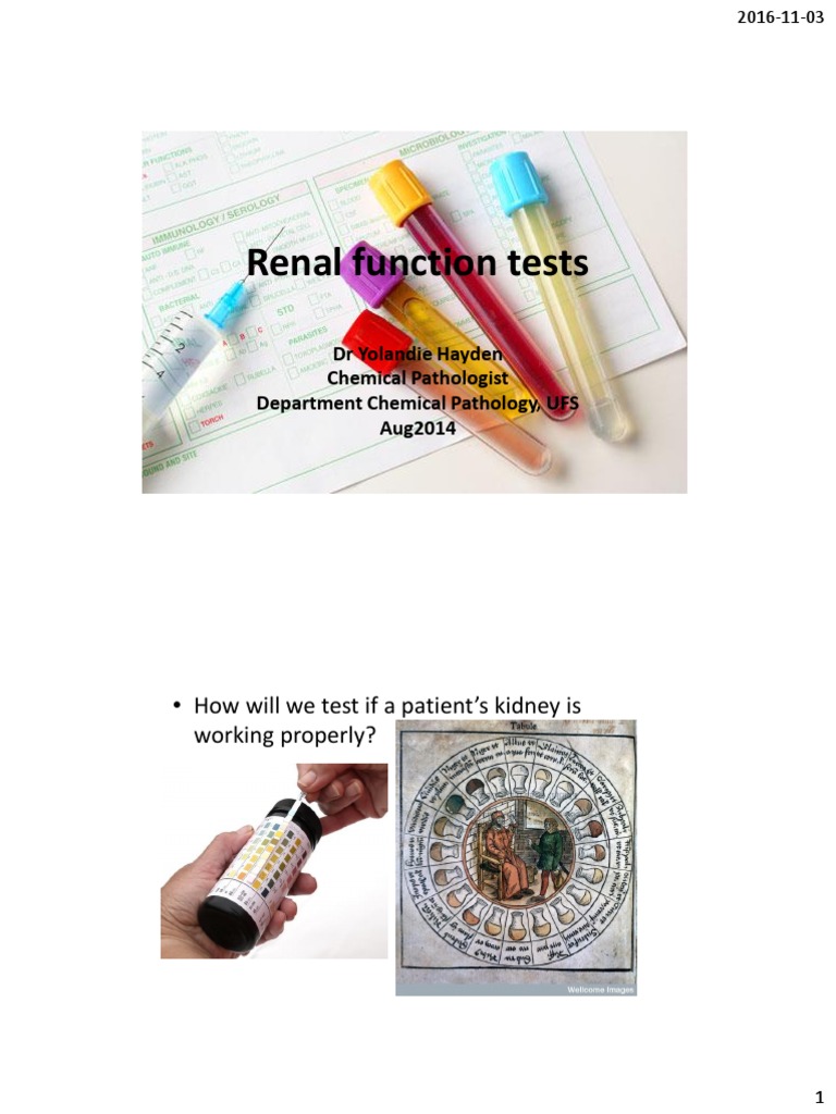 Understanding Creatinine and GFR | PDF | Renal Function | Creatinine