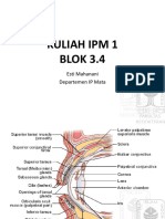 Kelopak Mata dan Sistem Nasolakrimal