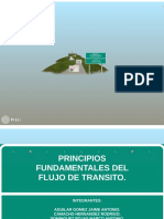 Exposicion Flujo Del Transito PDF