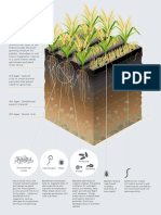 Soil Structure Diagram