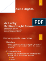 Organs of Hematopoetic