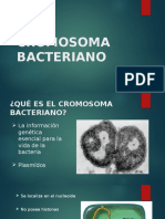 Cromosoma Bacteriano