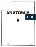 Anatomia 2