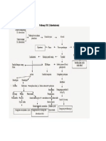 Pathway Pathway TBC (Tuberkulosis)