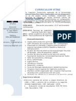 CURRICULUM VITAE IVAN CURAY VELIZ - Dga 1