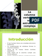 COLUMNA VERTEBRAL PPT.pptx