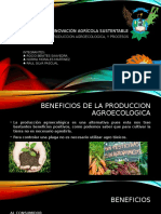 Beneficios de La Produccion Agroecologica y Procesos Agroecologicos