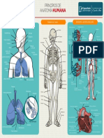 principios de anatomia humana.pdf