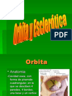02a Orbita y Escerotica