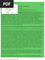 2 Rio Negro, Formación