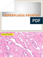 Asistensi Praktikum Blok Neoplasia 2010 Mg 1