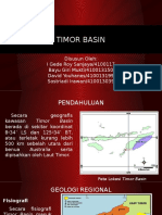 Timor Basin